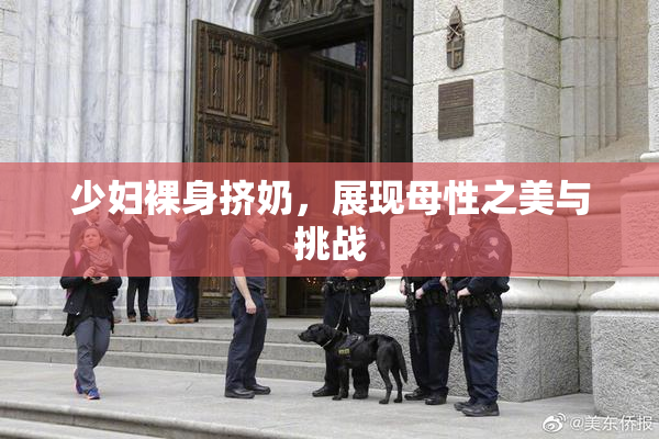 少妇裸身挤奶，展现母性之美与挑战