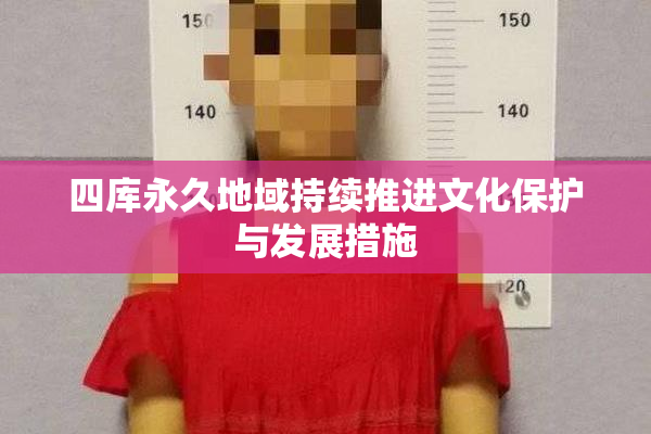 四库永久地域持续推进文化保护与发展措施
