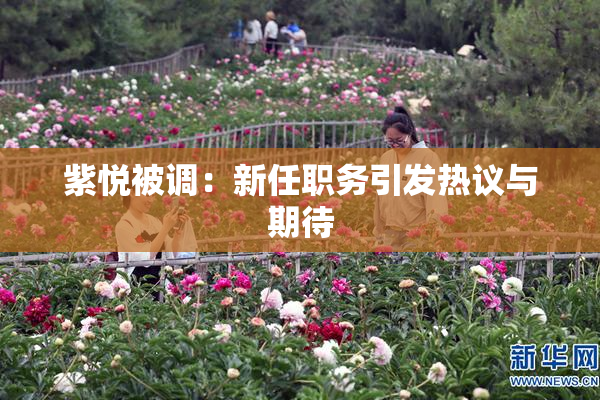 紫悦被调：新任职务引发热议与期待