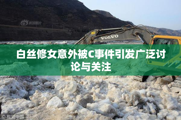 白丝修女意外被C事件引发广泛讨论与关注