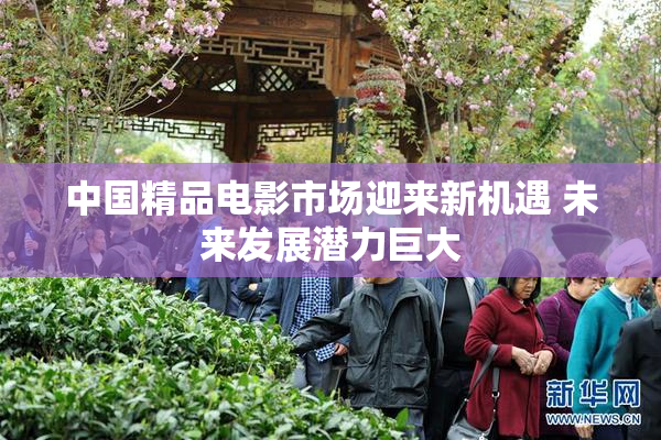 中国精品电影市场迎来新机遇 未来发展潜力巨大