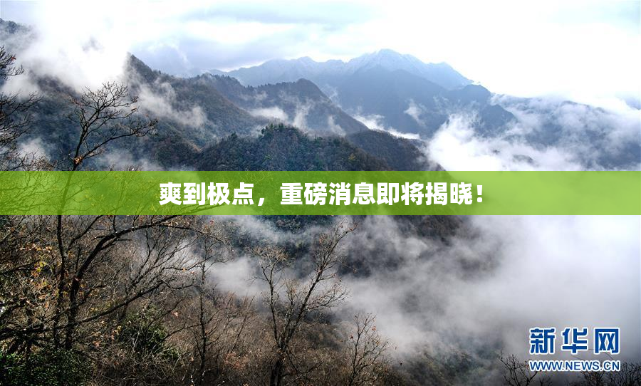 爽到极点，重磅消息即将揭晓！