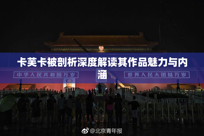卡芙卡被剖析深度解读其作品魅力与内涵