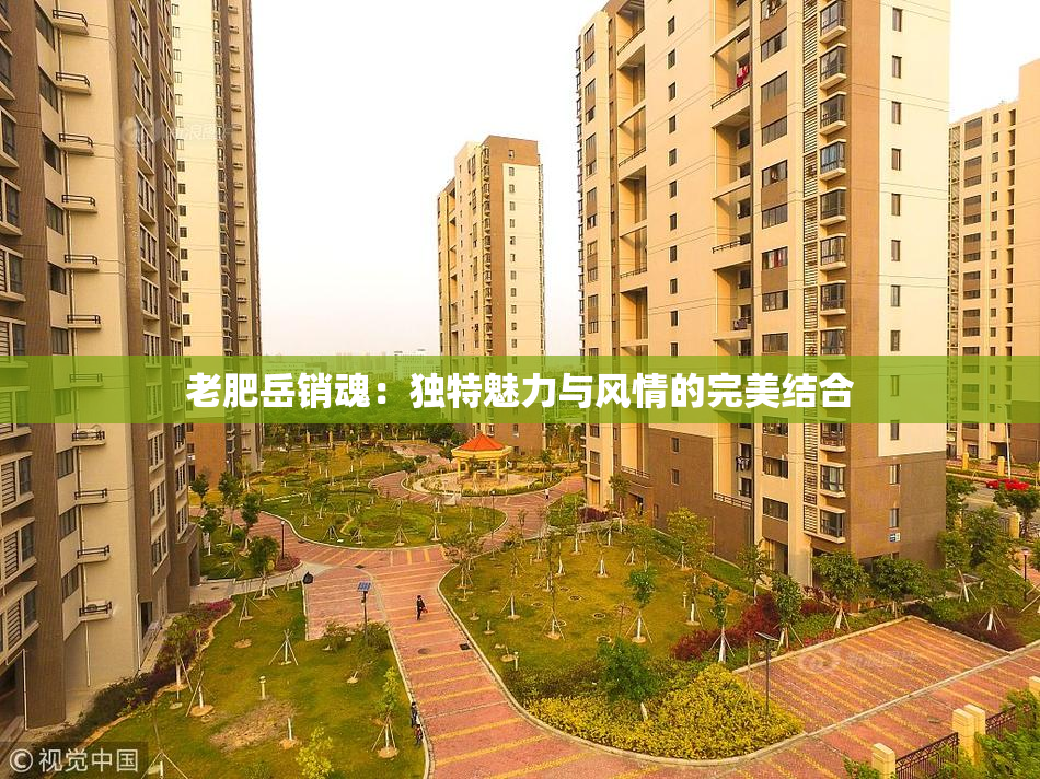 老肥岳销魂：独特魅力与风情的完美结合