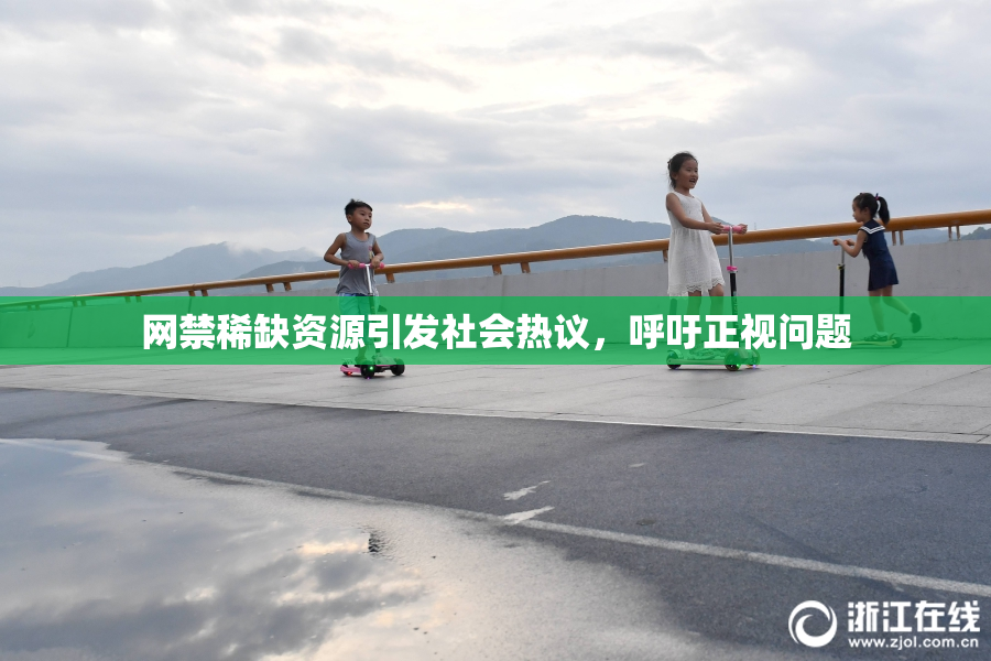 网禁稀缺资源引发社会热议，呼吁正视问题