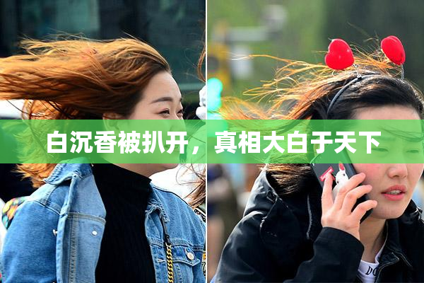 白沉香被扒开，真相大白于天下