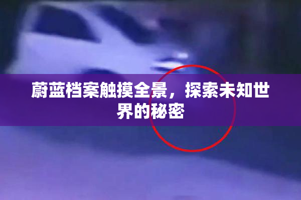 蔚蓝档案触摸全景，探索未知世界的秘密