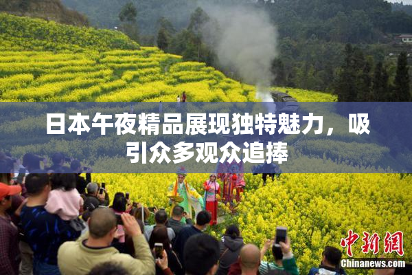 日本午夜精品展现独特魅力，吸引众多观众追捧