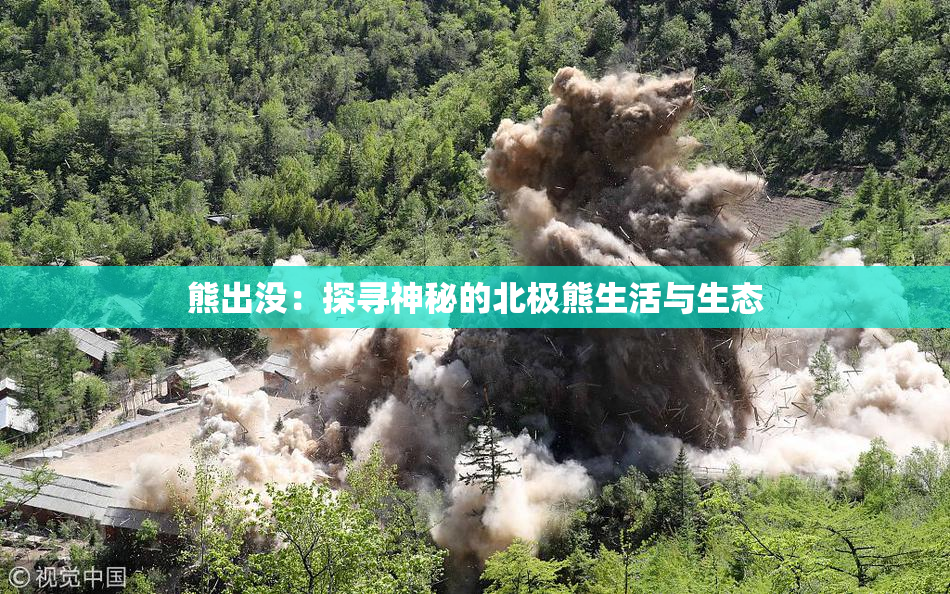 熊出没：探寻神秘的北极熊生活与生态