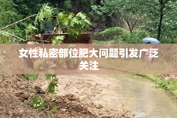 女性私密部位肥大问题引发广泛关注