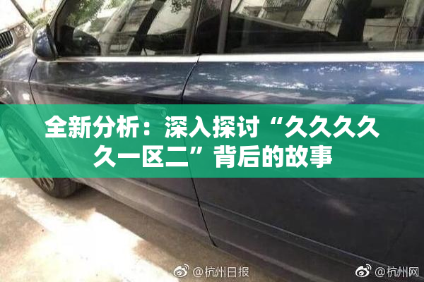 全新分析：深入探讨“久久久久久一区二”背后的故事