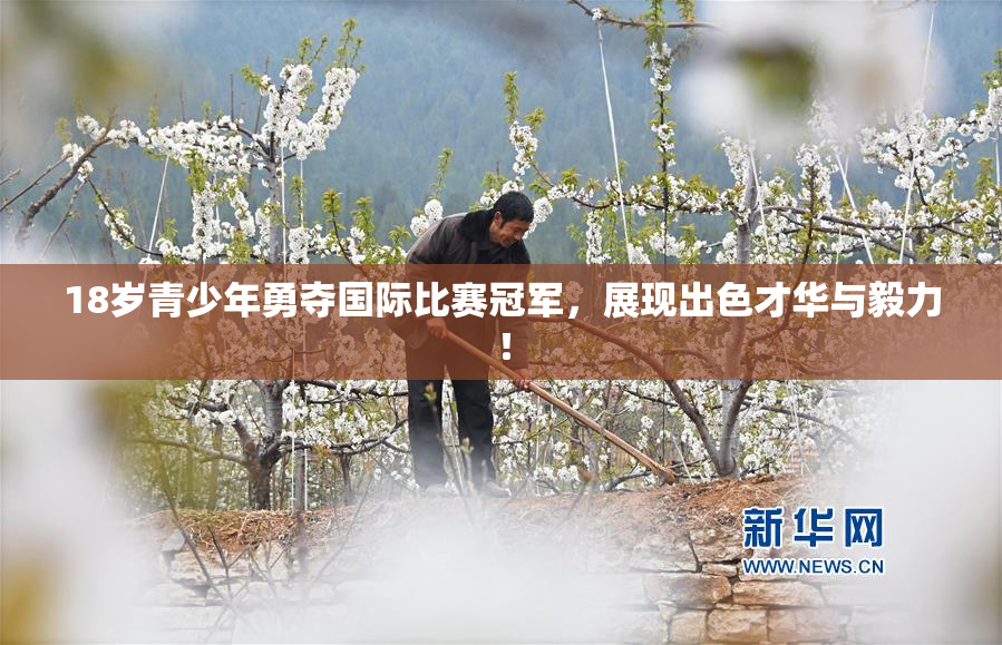 18岁青少年勇夺国际比赛冠军，展现出色才华与毅力！