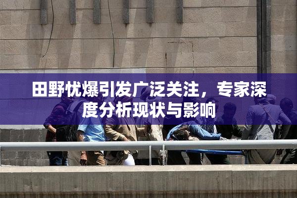 田野忧爆引发广泛关注，专家深度分析现状与影响