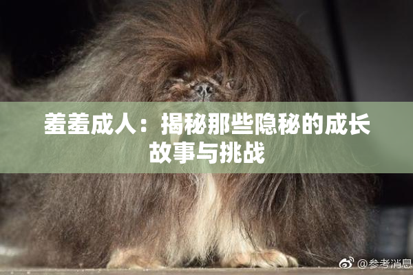 羞羞成人：揭秘那些隐秘的成长故事与挑战
