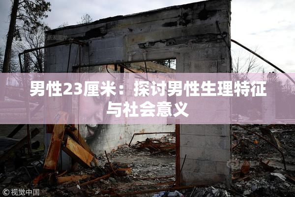 男性23厘米：探讨男性生理特征与社会意义