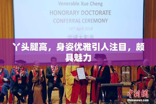 丫头腿高，身姿优雅引人注目，颇具魅力