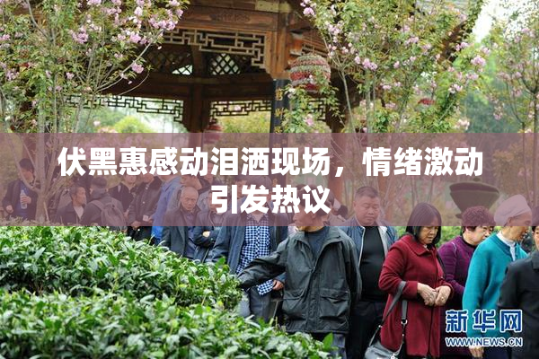 伏黑惠感动泪洒现场，情绪激动引发热议