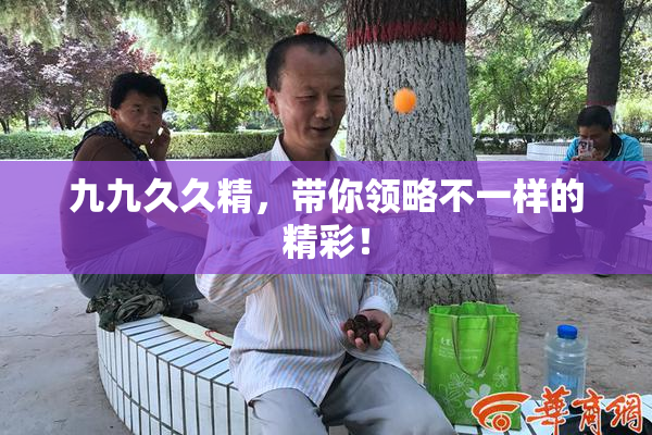 九九久久精，带你领略不一样的精彩！