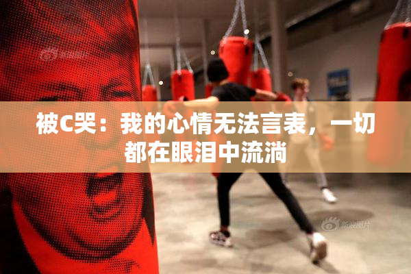 被C哭：我的心情无法言表，一切都在眼泪中流淌