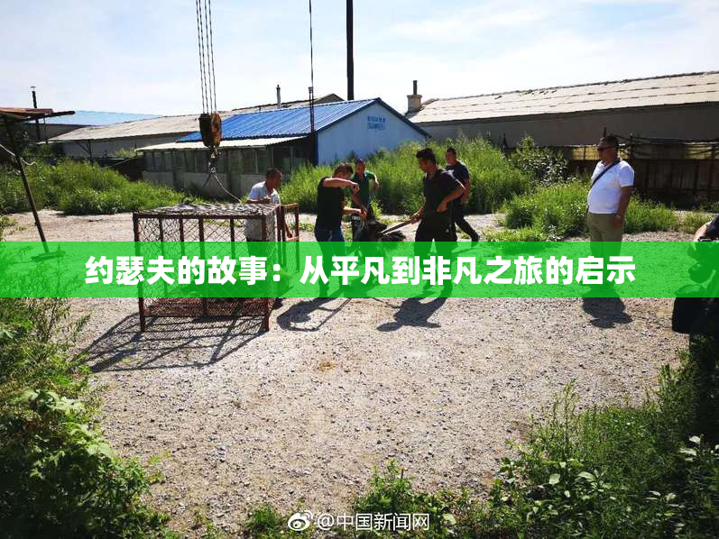 约瑟夫的故事：从平凡到非凡之旅的启示