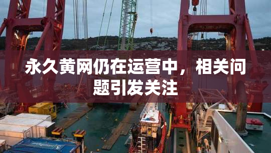 永久黄网仍在运营中，相关问题引发关注