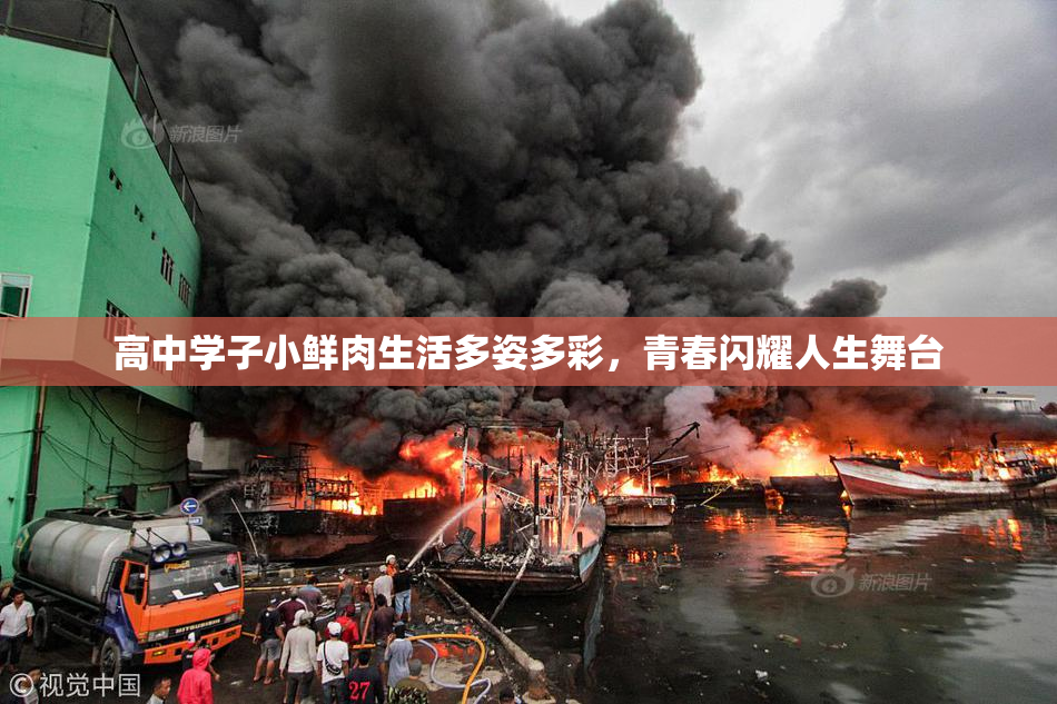 高中学子小鲜肉生活多姿多彩，青春闪耀人生舞台