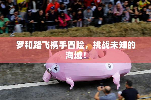 罗和路飞携手冒险，挑战未知的海域！