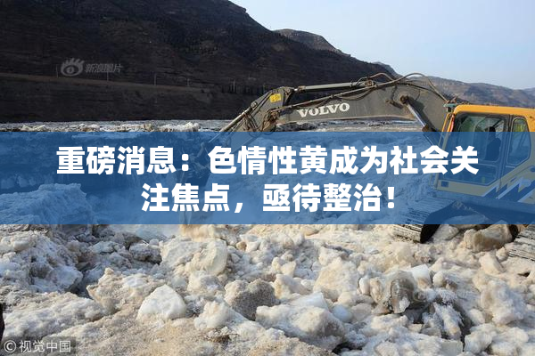 重磅消息：色情性黄成为社会关注焦点，亟待整治！