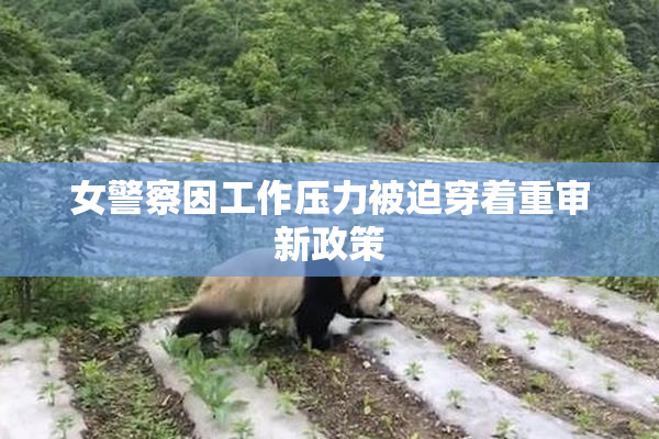 女警察因工作压力被迫穿着重审新政策