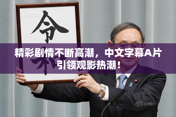 精彩剧情不断高潮，中文字幕A片引领观影热潮！