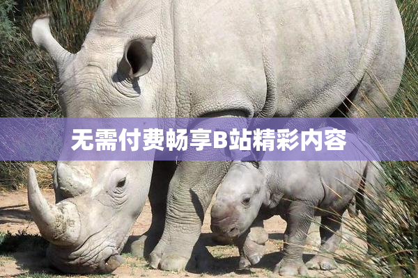 无需付费畅享B站精彩内容