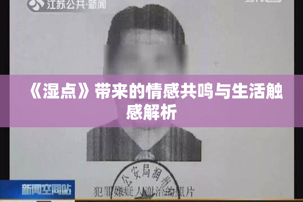 《湿点》带来的情感共鸣与生活触感解析