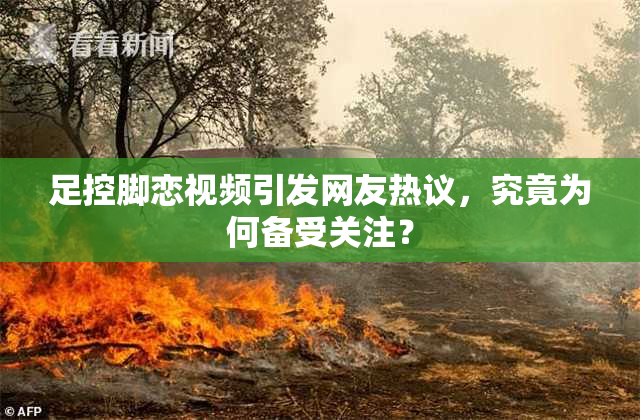 足控脚恋视频引发网友热议，究竟为何备受关注？