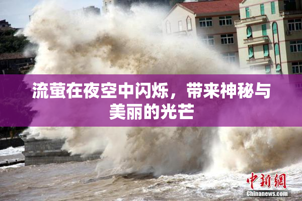 流萤在夜空中闪烁，带来神秘与美丽的光芒