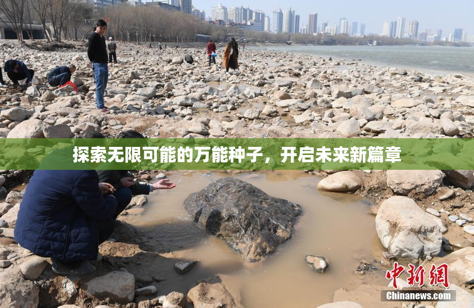 探索无限可能的万能种子，开启未来新篇章