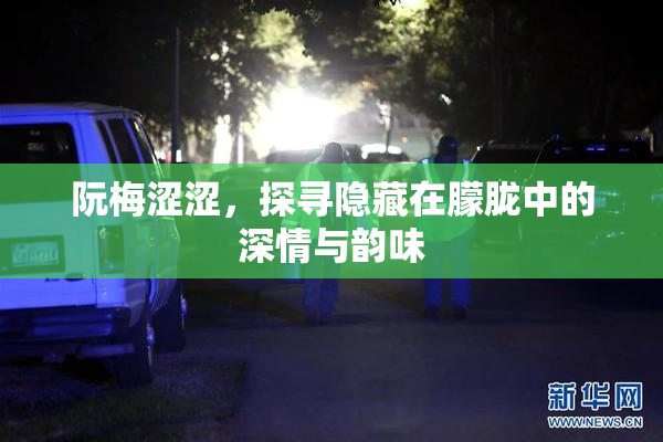阮梅涩涩，探寻隐藏在朦胧中的深情与韵味