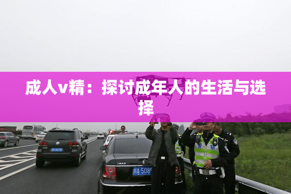 成人v精：探讨成年人的生活与选择