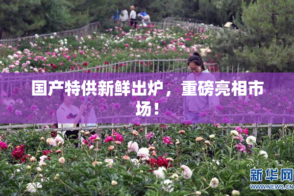 国产特供新鲜出炉，重磅亮相市场！