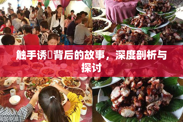 触手诱奷背后的故事，深度剖析与探讨