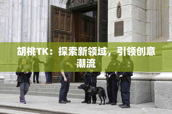 胡桃TK：探索新领域，引领创意潮流