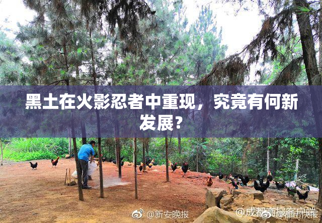 黑土在火影忍者中重现，究竟有何新发展？