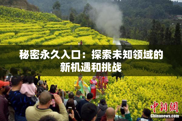 秘密永久入口：探索未知领域的新机遇和挑战