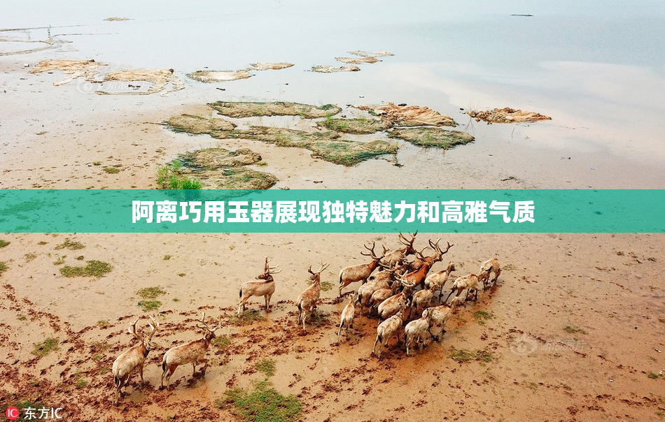 阿离巧用玉器展现独特魅力和高雅气质
