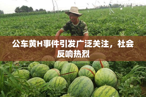 公车黄H事件引发广泛关注，社会反响热烈