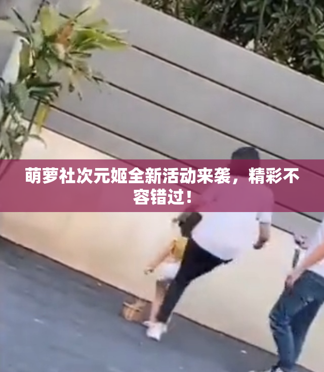 萌萝社次元姬全新活动来袭，精彩不容错过！