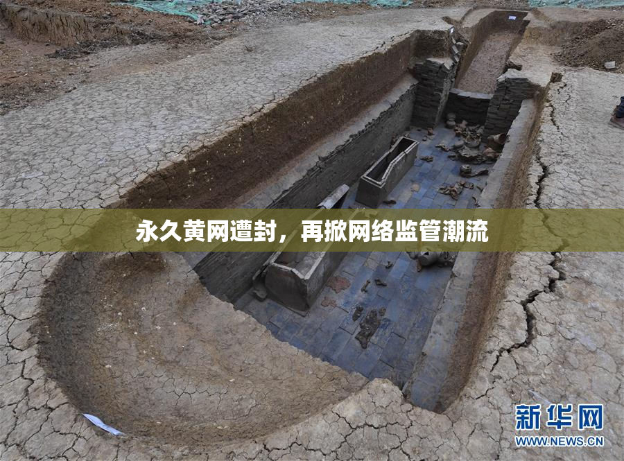 永久黄网遭封，再掀网络监管潮流