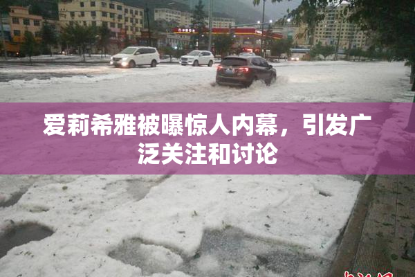 爱莉希雅被曝惊人内幕，引发广泛关注和讨论