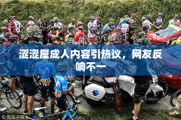 涩涩屋成人内容引热议，网友反响不一