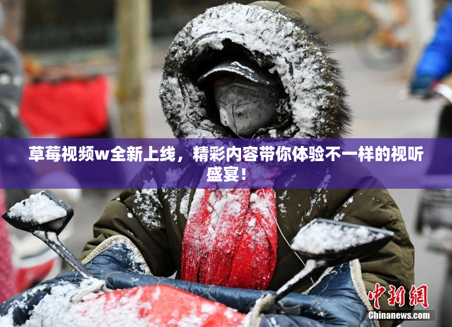 草莓视频w全新上线，精彩内容带你体验不一样的视听盛宴！