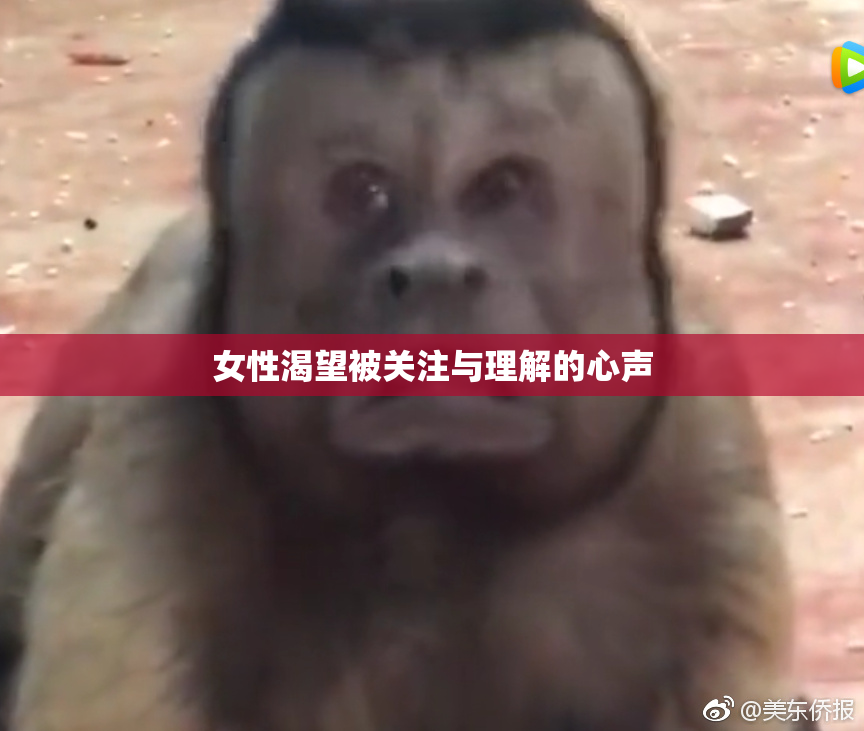 女性渴望被关注与理解的心声